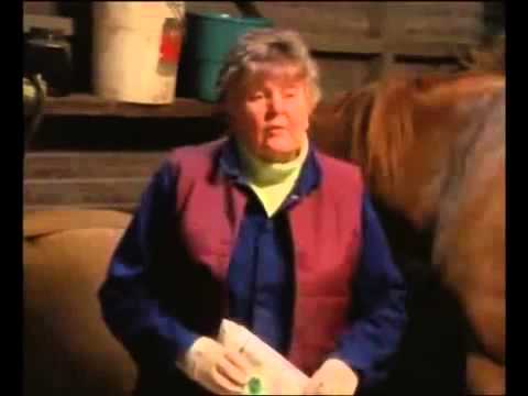 Grand Galop Saison 1 Episode 2   Sauvetage