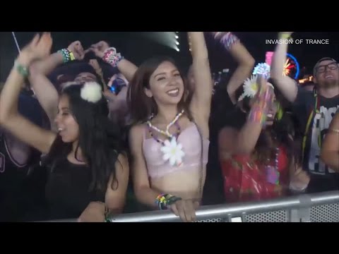 Niblewild – Every Thursday, 09:00 pm «Invasion of Trance»