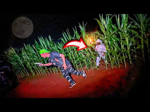 THE BEEKEEPER NEARLY CAUGHT ONE OF US