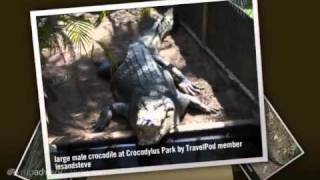preview picture of video 'Crocodylus Park - Darwin, Top End, Northern Territory, Australia'