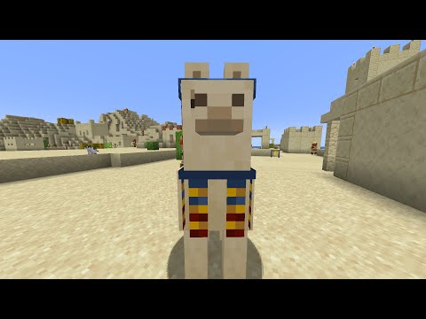 Reasons why I should join CRAFTNITE