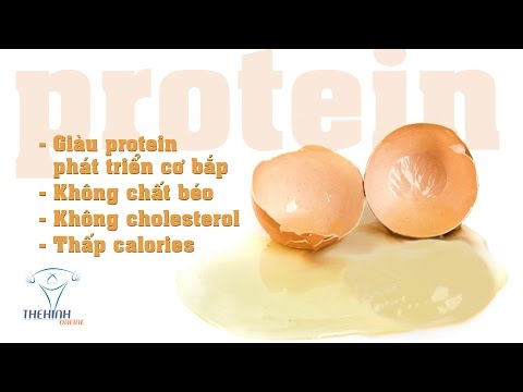 Top 10 Lòng Trắng Trứng Bao Nhiêu Calo [UPDATE 2022]- Rovapharma