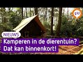 Kamperen bij de dieren van Burgers' Zoo, het kan deze zomer