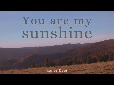 Loner Deer - You are my sunshine