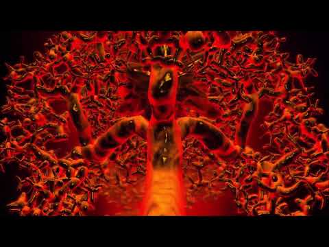 Kassander - Active Sun | Chill Space