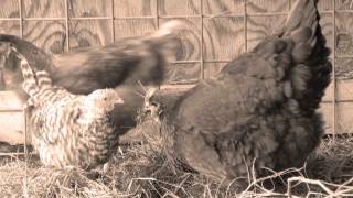 PART2 - &quot;Experiencing Pioneer Life&quot;