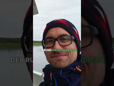 Welche Nordsee-Insel passt zu dir (Teil 5)? Urlaub auf Langeoog