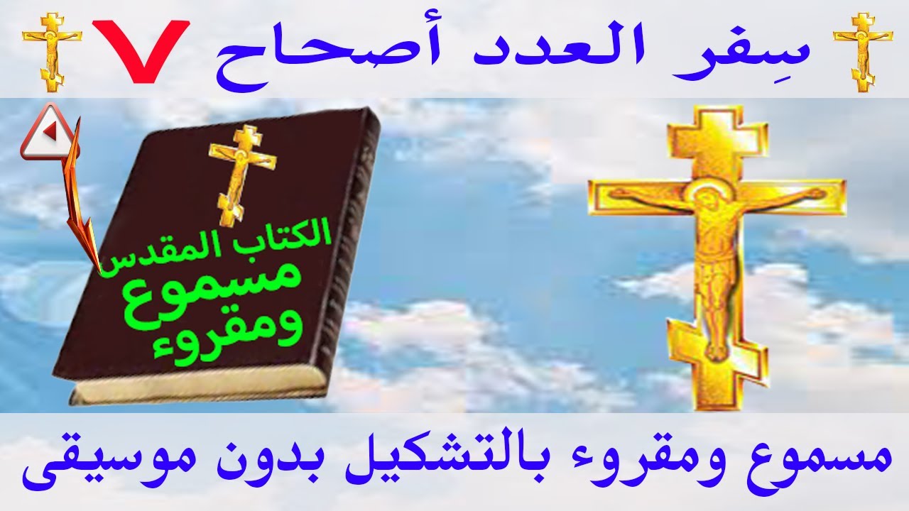 فيديو تفسير الكتاب المقدس | الكتاب المقدس رفيقي