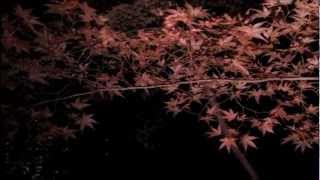 preview picture of video 'Kiyosumi Gardens in autumn night (清澄庭園 秋の夜)'