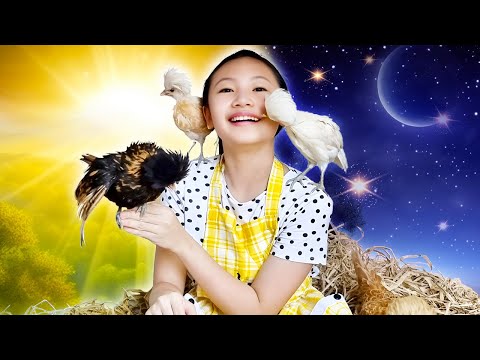Bug's cute animals in chicken house | Little Big Toys