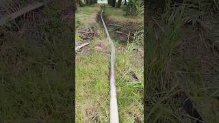 Download lagu POMPA AIR PAJANG 100 METER #irigasi #pengairan #petani #petanimilenial #kubota #sawah #padi mp3 Download lagu POMPA AIR PAJANG 100 METER #irigasi #pengairan #petani #petanimilenial #kubota #sawah #padi mp3