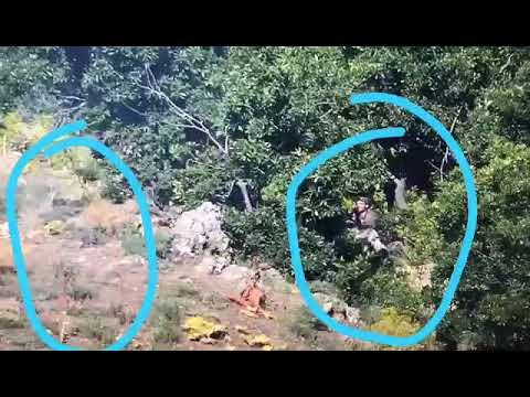 7 Aralık 2020 şırnak gabar dağı 🤘🏻🇹🇷🤘🏻