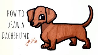 How to draw a Dachshund - easy drawing for beginners