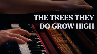 The Trees They Do Grow High | The Longest Johns