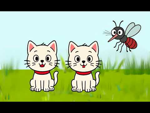 Napsugár együttes - Megcsípi a szúnyog