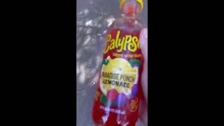 Cover art for minging calypso