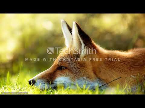 za 40 electro freestyle mix