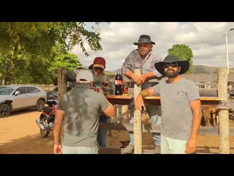 Feira do Gado de Rompe Gibão em Estrela de Alagoas. Só resenha chama. 18/01/2026