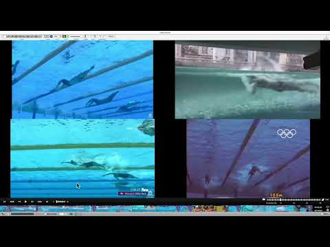 Egerszegi murphy smith ceccon