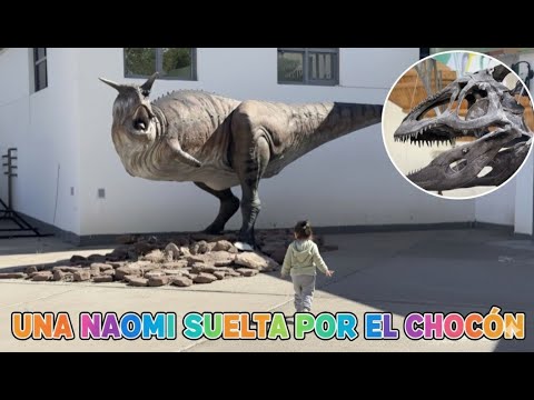 Escapada a el Chocon - Neuquen