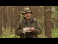 Gerard zoekt naar de onbekende paden op de Veluwe - Onze Veluwe