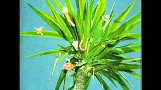 Sinaloan Milk Snake Song