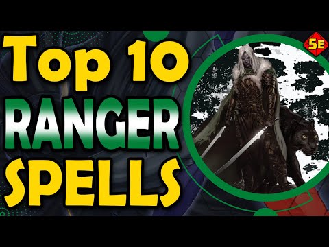 Top 10 Best Ranger Spells in DnD 5E