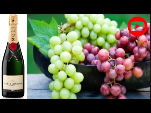 Champagne: What is it MADE of?