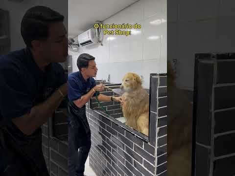 What's your pet's name? @marcotuliodavi