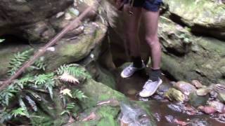 Looking Glass Canyon