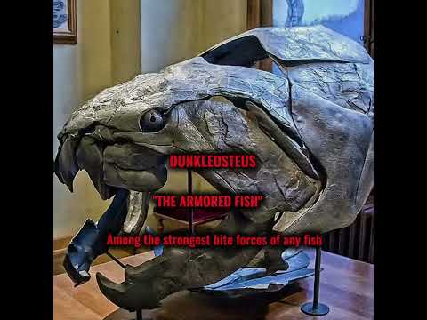 These Extinct Sea Monsters Broke Every Record 🌊💀