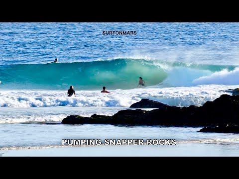 Pumping Waves Early! Surfing Snapper Rocks