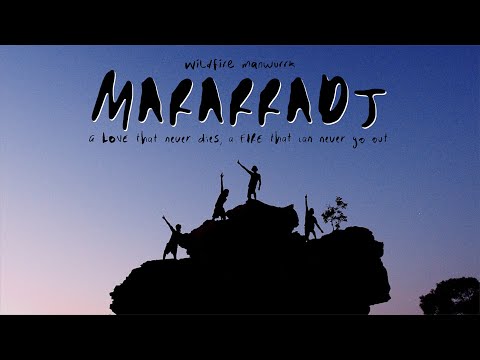 WILDFIRE MANWURRK - Mararradj (Official)