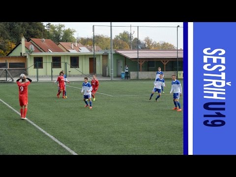 SESTŘIH: 12.k. MSDL / Znojmo - Vyškov 8:0