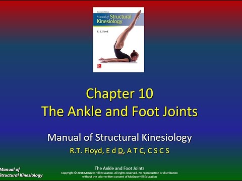 Structural Kinesiology Ch10 The Ankle Joint P1