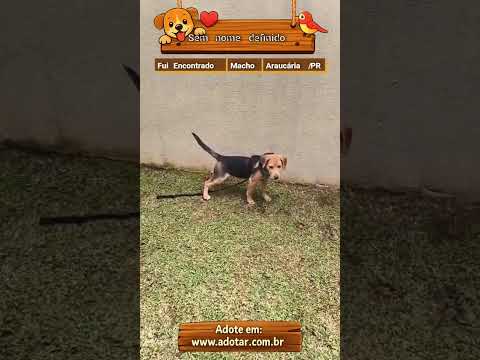 Vídeo de Sem nome definido