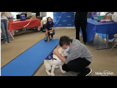 Make-A-Wish Hudson Valley & Pawrade Grant Puppy Wish