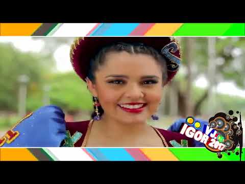 001   Mix   Caporales & Sayas 2016  ❌   VDJ IGOR PRODUCER