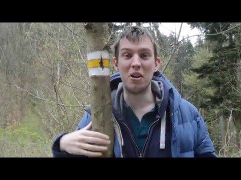 Czech Republic walking tours. Czech Republic walking trails.