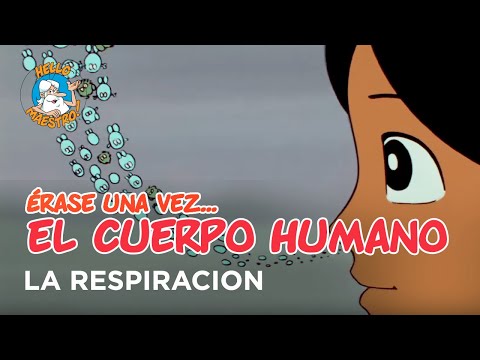 Erase Una Vez... El Cuerpo Humano - La respiracion