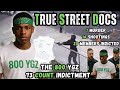 True Street Docs Presents 73 Count Gang Indictment 800 YGZ
