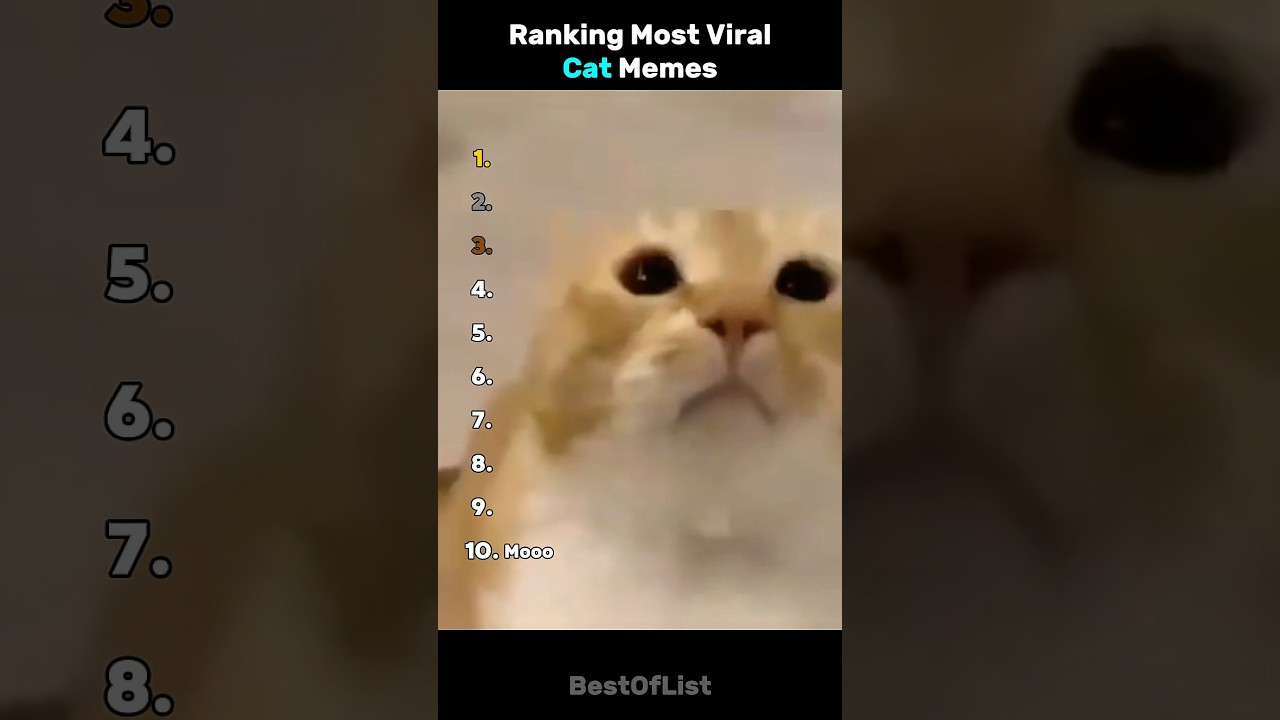 Ranking Most Viral Cat Memes