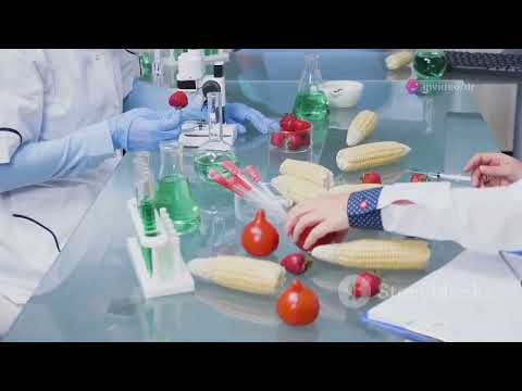 Unlocking the Magic of Salt