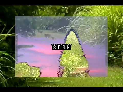 Deergod & HNRK  Untitled #5 (video)