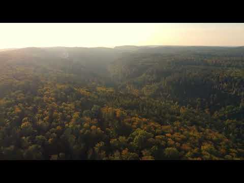 Flight over beautiful hilly pristine forest during sunset in Southern Germany