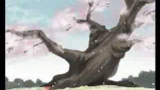 Kokoro,Kokoro-Kiseki (vietsub)