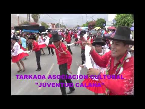 Tarkada Juventud Calana Pasacalle  2017