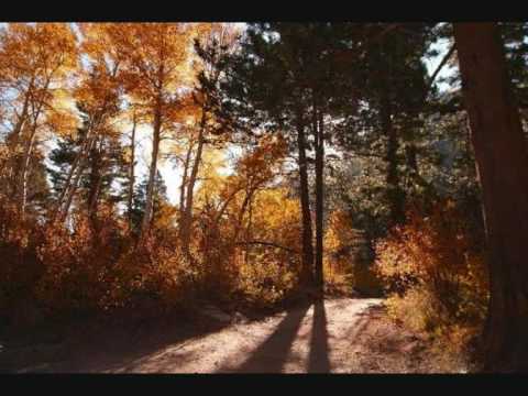 Herbert Grönemeyer - Ein Stück vom Himmel