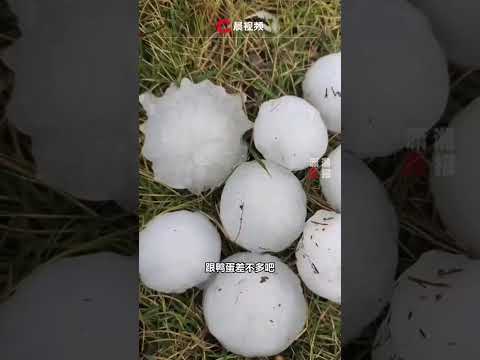 The 32&deg;C weather suddenly brought hail, cars were smashed