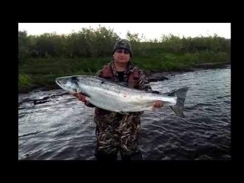 Ловля семги на р. Печора.